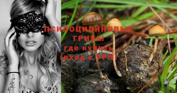 мескалин Новокубанск