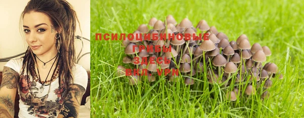 MDMA Premium VHQ Новозыбков