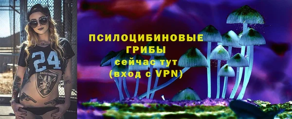 MDMA Premium VHQ Новозыбков