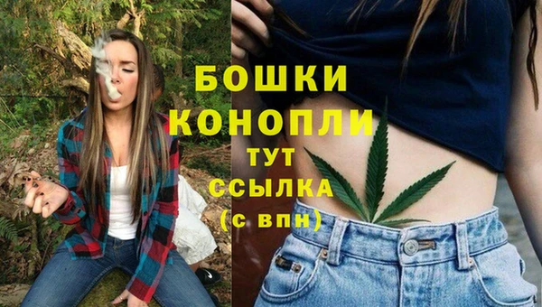 MDMA Premium VHQ Новозыбков